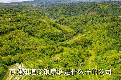 交銀康聯(lián)是什么公司，有誰(shuí)知道交銀康聯(lián)是什么樣的公司