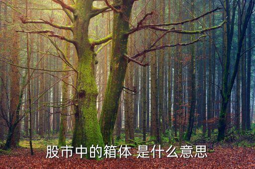股市箱體是什么，股票的箱體指什么