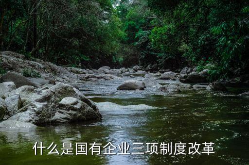 新鋼公司三項制度改革是什么，什么是國有企業(yè)三項制度改革