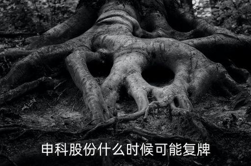 300097股什么時(shí)候復(fù)牌，申科股份什么時(shí)候可能復(fù)牌