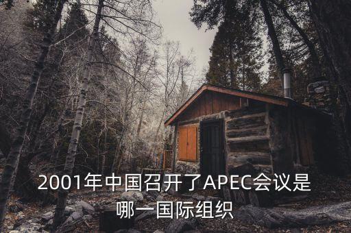 中國舉行合作論壇首次論壇是什么，論壇是什么