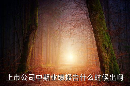 中報業(yè)績最晚什么時間公布，規(guī)定股票中報什么時候出