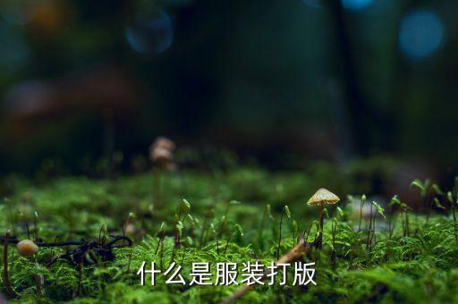 打板叫什么，在電子電路板工業(yè)中打板是什么意思
