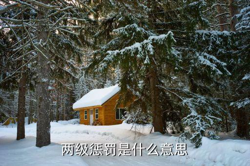 比亞迪二級處罰是什么，兩級懲罰是什么意思