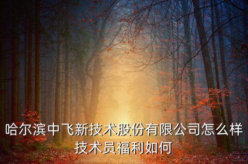 中飛股份公司做什么的，哈爾濱中飛新技術股份有限公司怎么樣技術員福利如何
