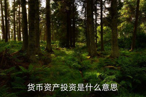 貨幣投資是什么，貨幣投資的概念和管理
