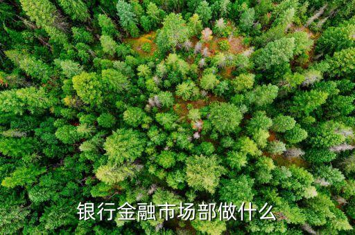 民生銀行金融市場部做什么，銀行金融市場部做什么