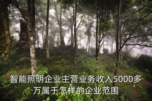溫州宏豐主營什么，請問凈利率的公式計算是凈利潤主營業(yè)務 還是主營業(yè)務還加其他也