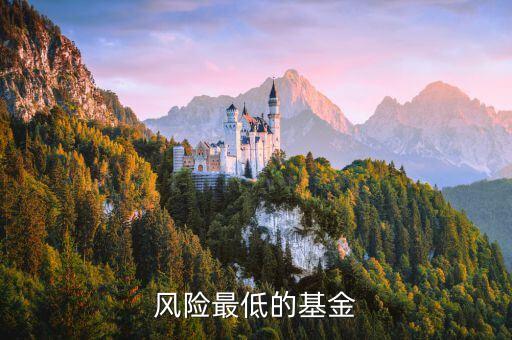什么基金風險最低，風險最低的基金
