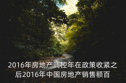 2016房市下一步還能出什么政策，2016年房地產(chǎn)調(diào)控年在政策收緊之后2016年中國房地產(chǎn)銷售額百