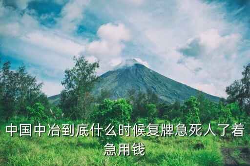 中國中冶到底什么時候復(fù)牌急死人了著急用錢