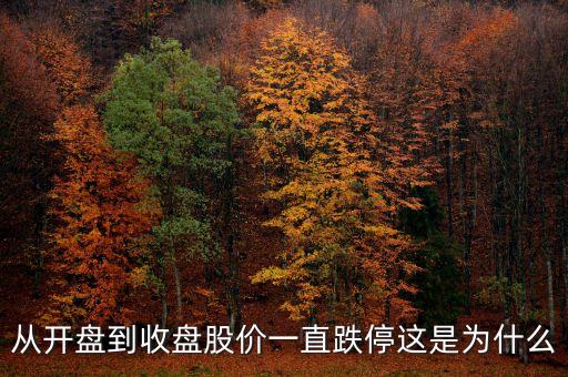 為什么開盤就跌停，從開盤到收盤股價一直跌停這是為什么
