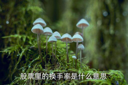 股票中換手率什么意思，股票里面的換手率是什么意思