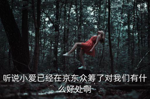 京東jimi機器人有什么作用，jimi 是什么意思