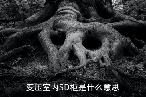 授軍旗為什么在室內(nèi)，變壓室內(nèi)SD柜是什么意思