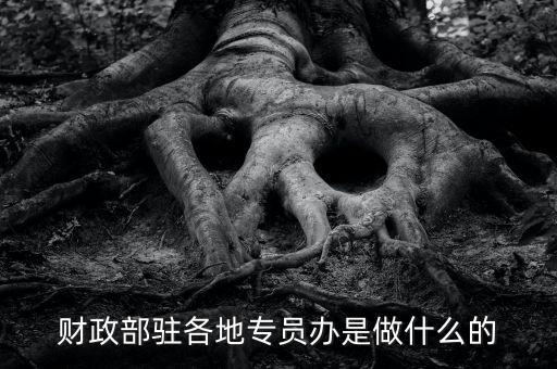 財專辦是什么，財政部駐各地專員辦是做什么的
