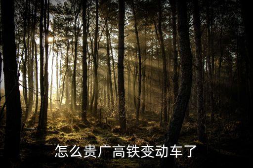 高鐵什么時(shí)候變動車，怎么貴廣高鐵變動車了