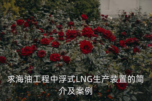 什么是浮式lng項(xiàng)目，什么是浮式LNG