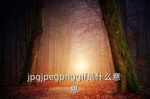什么是代價(jià)比率，JPG文件會(huì)有病毒嗎
