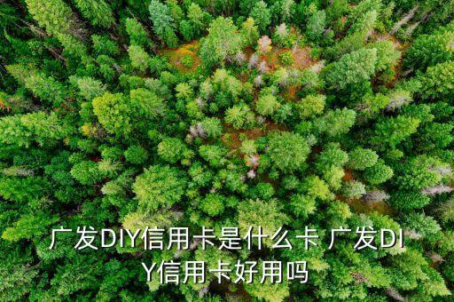 什么是diy信用卡，廣發(fā)DIY信用卡是什么卡 廣發(fā)DIY信用卡好用嗎