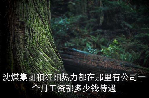 沈煤集團(tuán)和紅陽(yáng)熱力都在那里有公司一個(gè)月工資都多少錢(qián)待遇