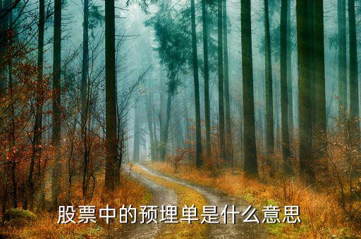 股票埋單是什么意思，股票上埋單是什么意思
