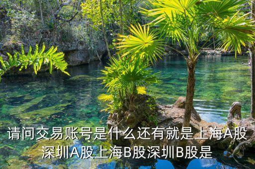股東賬號(hào)是什么，請(qǐng)問(wèn)交易賬號(hào)是什么還有就是上海A股深圳A股上海B股深圳B股是