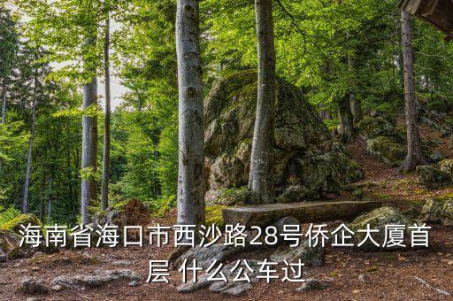 海南公務車什么號段，誰知道海南41 11月20日開的什么號碼