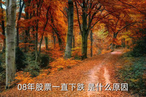08年股票為什么大跌，2008年全球的股票為什么會大幅度下跌