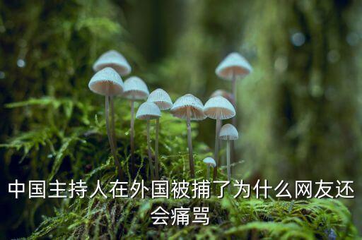 國(guó)網(wǎng)魏慶海出什么事了，中國(guó)主持人在外國(guó)被捕了為什么網(wǎng)友還會(huì)痛罵
