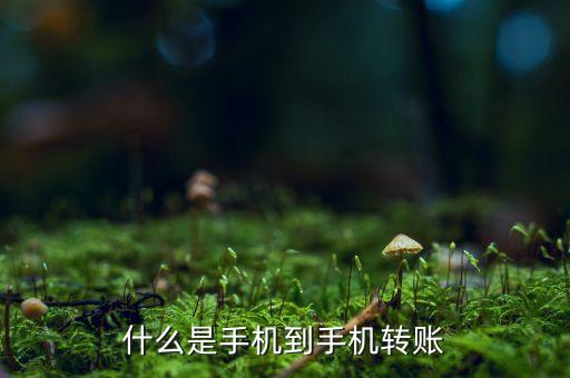 手機(jī)號(hào)匯款什么意思，什么叫匯款我用手機(jī)把卡上錢(qián)匯到另一個(gè)號(hào)會(huì)有問(wèn)題嗎多久能匯