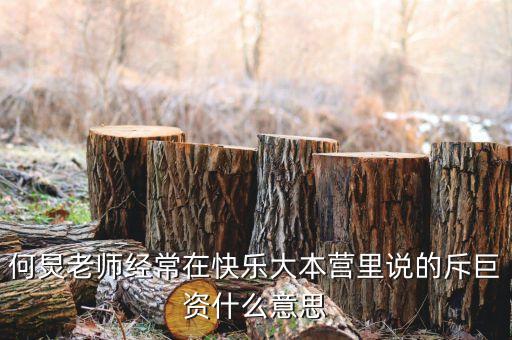 赤巨資是什么意思，赤巨資是什么意思能解釋一下嗎