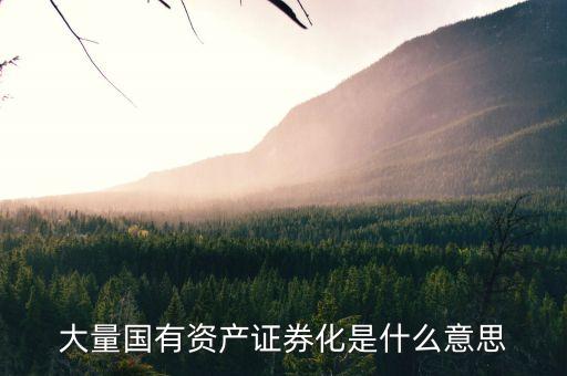 什么是國(guó)資證券化率，資產(chǎn)證券化率的公式