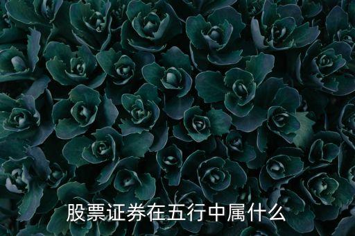 股票在五行中屬什么，股票證券在五行中屬什么