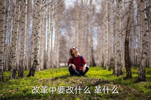你認(rèn)為我國(guó)改革的重心應(yīng)是什么改，我國(guó)改革的任務(wù)決定了改革應(yīng)是 A 經(jīng)濟(jì)體制的改革 B 政治體制的改革