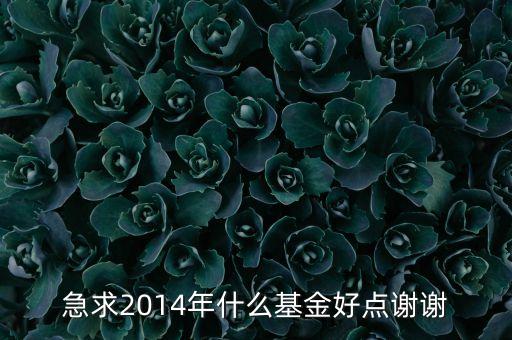 急求2014年什么基金好點謝謝