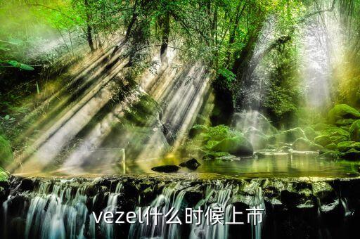 維珍妮集團(tuán)什么時(shí)候上市，vezel什么時(shí)候上市
