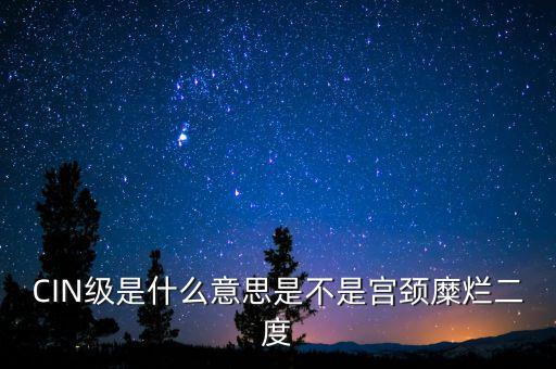 海泰宮靖是什么級(jí)別，CIN級(jí)是什么意思是不是宮頸糜爛二度