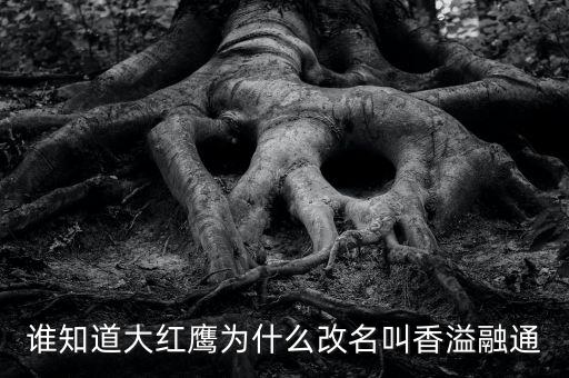 為什么買香溢融通，買當(dāng)代歌壇看到一個(gè)被稱為實(shí)偶派的歌手 饒威求科普