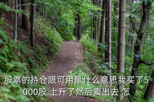 股票的持倉(cāng)跟可用是什么意思我買了5000股 上升了然后賣出去 怎