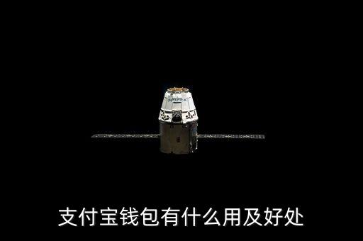 支付寶錢包都能干什么，支付寶錢包是做什么的