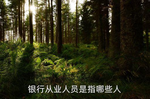 銀行從業(yè)人員是什么，我在銀行從業(yè)資格證里面看到一個銀行從業(yè)人員和銀行非從業(yè)人員