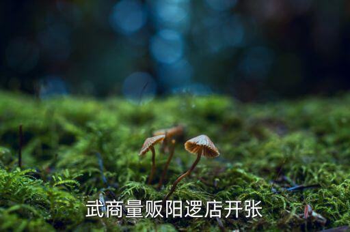 老河口武商什么開(kāi)業(yè)，武商量販?zhǔn)叩晔鞘裁磿r(shí)候開(kāi)業(yè)的