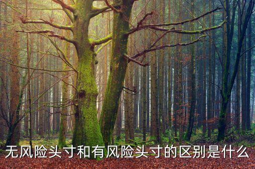 市場風(fēng)險(xiǎn)頭寸是什么，什么是可抵消市場風(fēng)險(xiǎn)頭寸