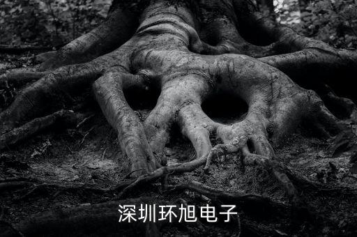 環(huán)旭電子經(jīng)營什么，上海環(huán)旭電子有限公司在什么地方