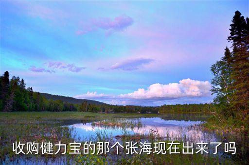 健力寶什么時候賣給張海，收購健力寶的那個張?，F在出來了嗎
