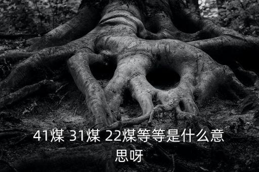 什么叫三二煤，2煤3煤什么意思