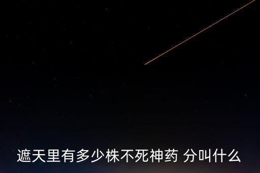 神藥代表什么，圣經(jīng)黃金沫藥什么含義