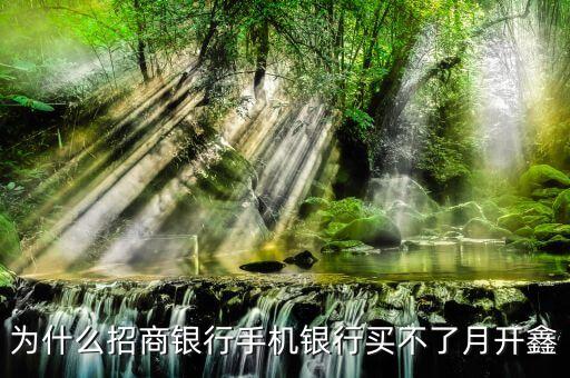 為什么招商銀行手機銀行買不了月開鑫