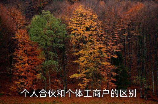 個人合伙領(lǐng)取什么經(jīng)營執(zhí)照，個人合伙辦理個體工商戶執(zhí)照